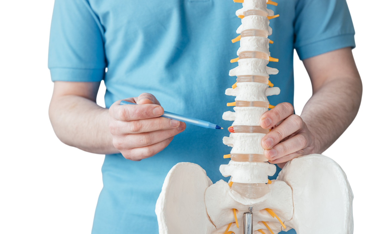 Chiropractor in Grand Junction, CO